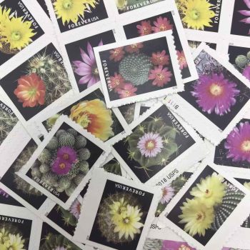 2019 Cactus Flowers Forever Stamps 100 pcs
