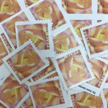 2018 Peace Rose Forever Stamps